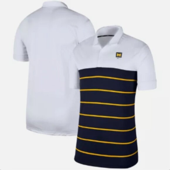 Nike Michigan Wolverines Striped Dri-FIT Performance Polo Shirt - Picture 2 of 9